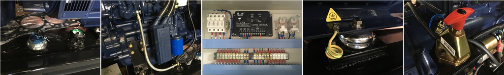 ricardo engine generator set